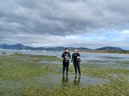 Snorkellers at Porthdinllaen Seagrass Meadow