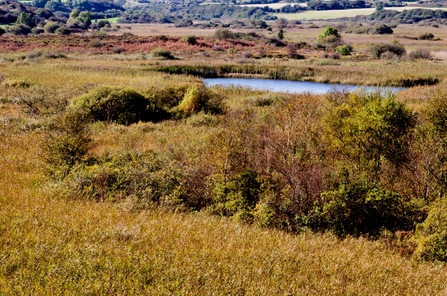 Cors Goch Nature Reserve