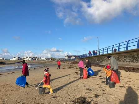 Volunteers litter picking at Trearddur Bay Plast Off Beach Clean 2024