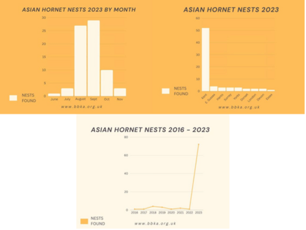 Asian hornet nest stats graphs for 2023