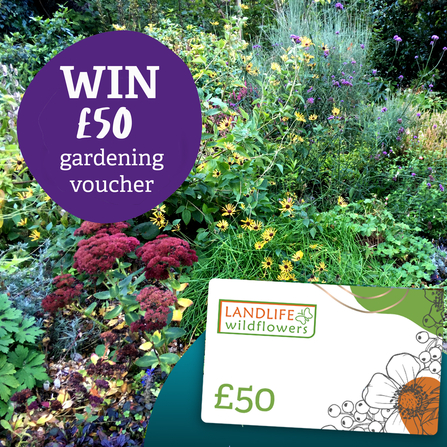 Win £50 gardening voucher