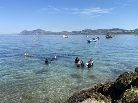 Seagrass Ocean Rescue Champions Snorkelling