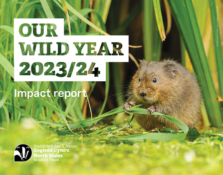 Impact report 2023 to 2024 front cover