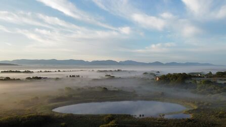 Image of Cors Goch Nature Reserve