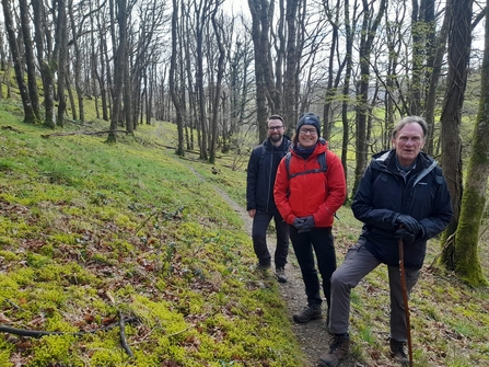 Bala audio trail - woodland trail