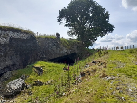 Bala, the caves