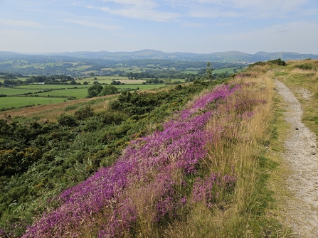 View from Moel Y Gaer