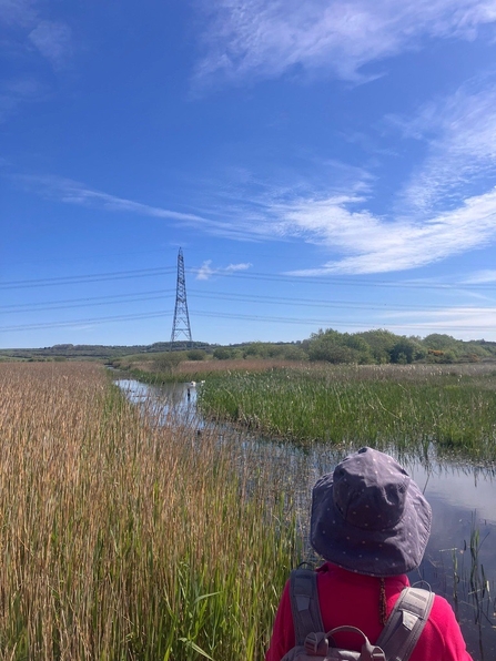 A person wearing a sunhat and red jacket looks out over a reed-filled wetland under a clear blue sky, with a tall electricity pylon in the distance and reflections on the water.