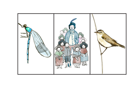 Three illustrated panels: a damselfly with blue markings, a man in a feathered cap surrounded by children, and a sedge warbler perched on a reed