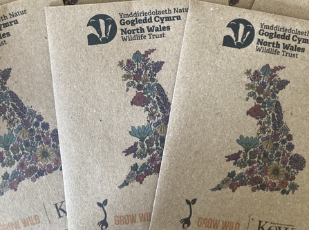 Stamped by Nature seed packs