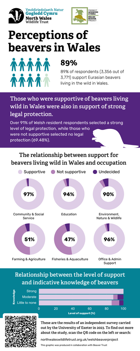 Infographic