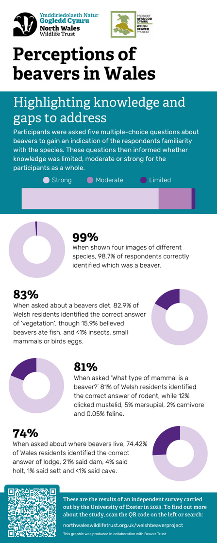 Infographic