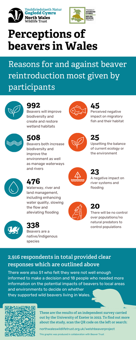 Infographic