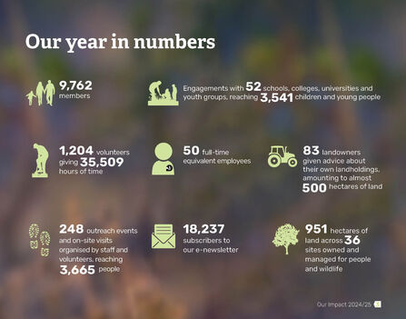 Impact report 2024-2025_ENGLISH_our year in numbers