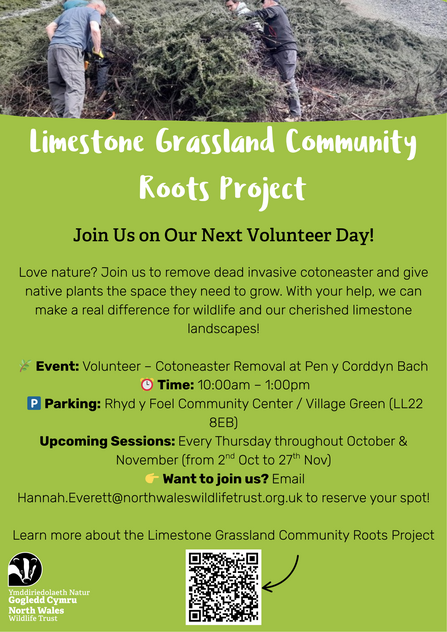 Upcoming volunteer events