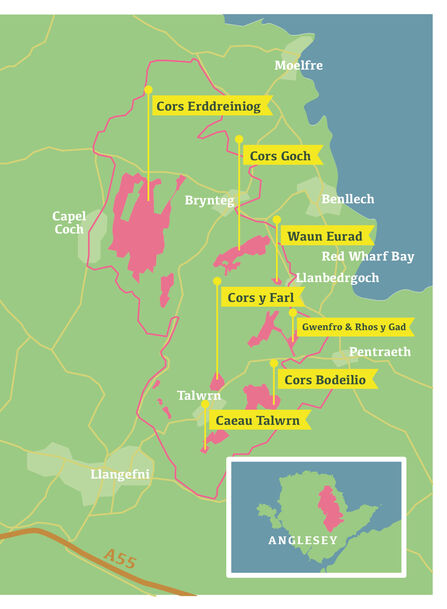 A map of Anglesey showing the locations of key fen sites, marked with yellow labels and red shaded areas. The sites include Cors Erddreiniog near Capel Coch, Cors Goch and Waun Eurad near Red Wharf Bay, Cors y Farl, Gwenfro & Rhos y Gad, and Cors Bodeilio located centrally near Llangefni. Caeau Talwrn is located further south. The map also includes roads, such as the A55, and a small inset map of Anglesey to provide context for the area depicted.