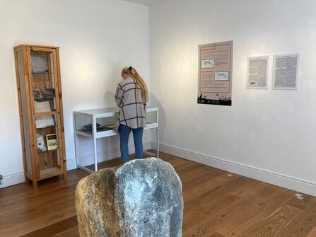 Visitor at Beyond the Boundary exhibition