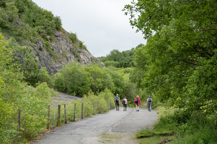 A group of four people walking away from the viewer, down one of Minera Quarry's wide paths. Bare limestone cliffs rise up on their left, while there is lush vegetation and trees lining the path
