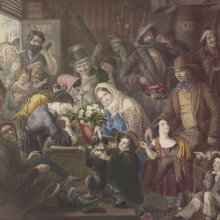 A Primrose from England