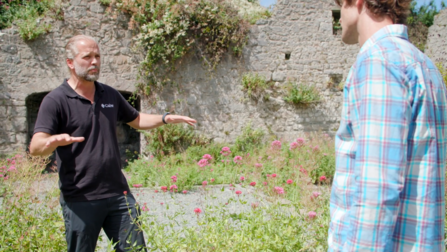 Ashley from Cadw with red valerian