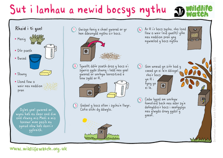Cleaning nest boxes activity sheet Welsh