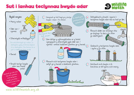 Cleaning bird feeders activity sheet Welsh