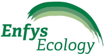 Logo for Enfys Ecology - green rainbow with words 'Enfys Ecology'