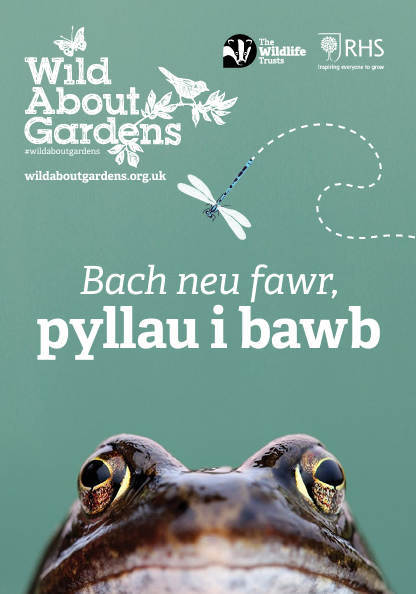 Wild About Gardens Ponds CYM