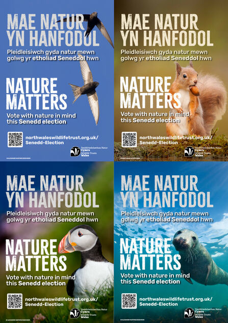 Posters 'Mae Natur yn Hanfodol / Nature Matters' with bold text and various species