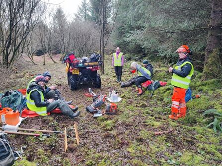Volunteers in hi-vis and protective clothing working in woodland 