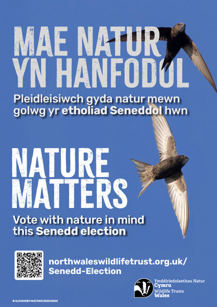Poster 'Mae Natur yn Hanfodol / Nature Matters' with bold text and swifts against blue sky