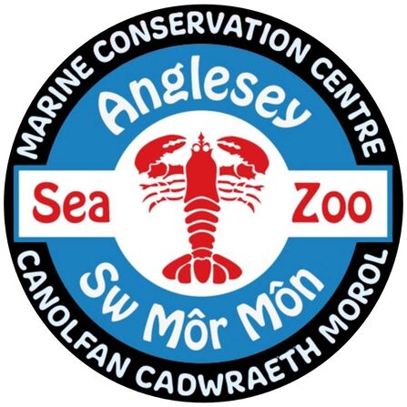 Anglesey Sea Zoo logo