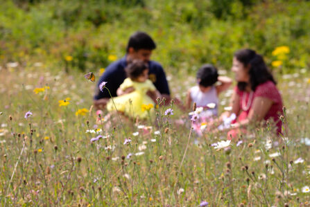 Family in nature