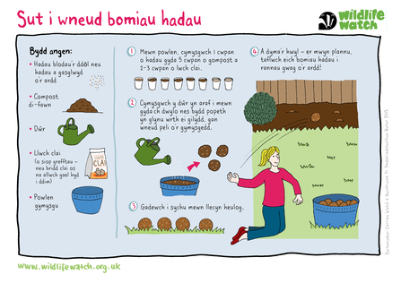 How to make seed bombs CYM