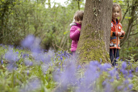Children hiding behind a tree