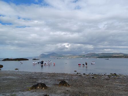a group of people collecting seagrass in the sea
