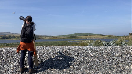 Ashleigh photographing a tern at Cemlyn