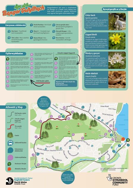 Bangor Map Online Cym
