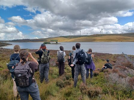 In the heathland, looking out for wildlife