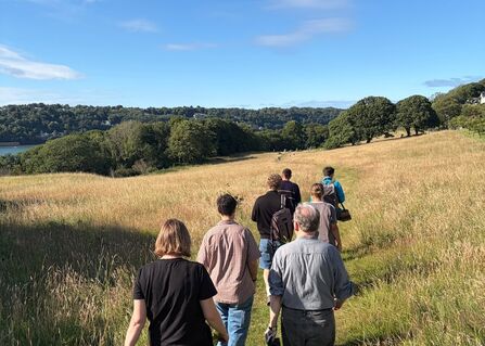 A group of people walking through a grassland, woodland on the horizon, blue sky