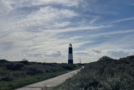 Lighthouse, Humber