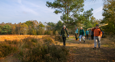 volunteers in Surrey