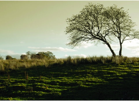 Blaen-y-Weirglodd Nature Reserve