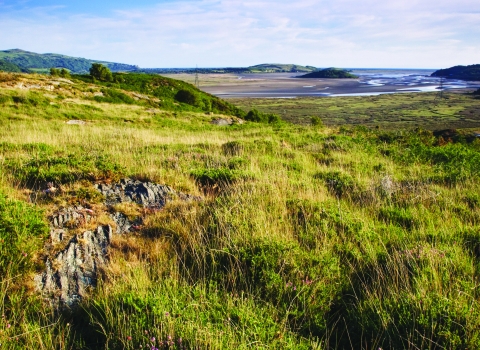 Gwaith Powdwr Nature Reserve