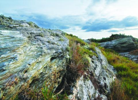 Porth Diana Nature Reserve. A rocky outcrop on the reserve, with layered striations, and small plants and grasses growing out of the larger cracks in the rock.