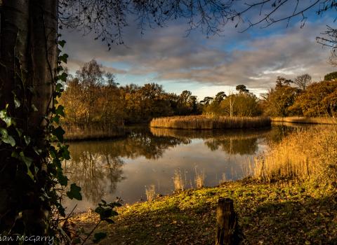 SpinniesAberogwen Nature Reserve