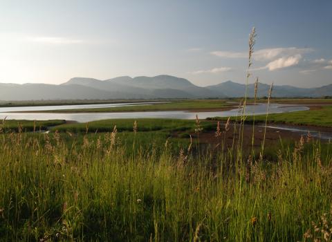 Traeth Glaslyn Nature Reserve