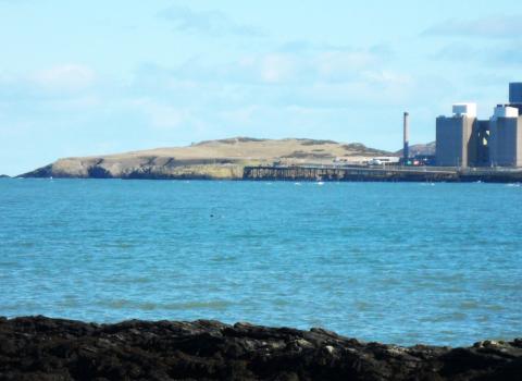 Wylfa power station