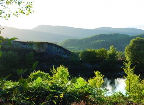 Cors Bodgynydd Nature Reserve