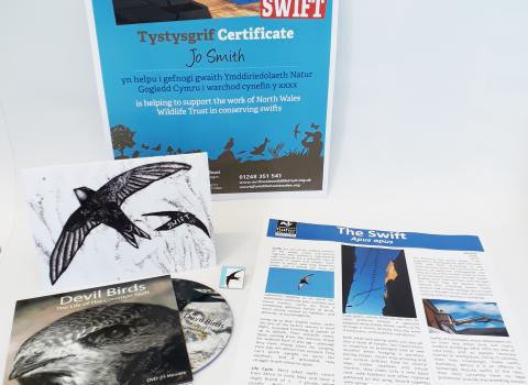 swift sponsorship pack